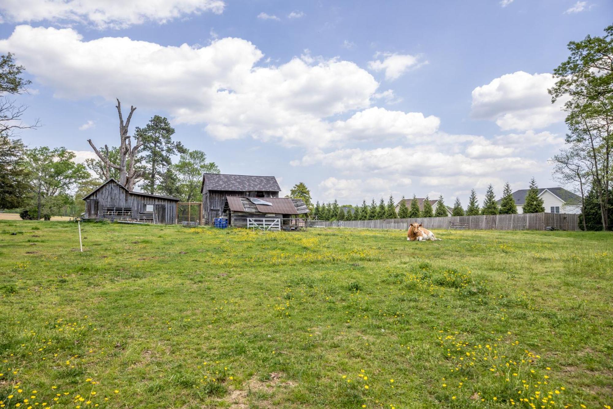 Watch Deer From A Farm Cottage Bel Air Luaran gambar