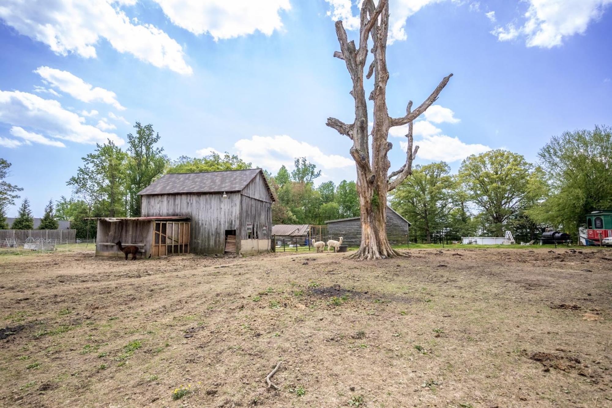 Watch Deer From A Farm Cottage Bel Air Luaran gambar